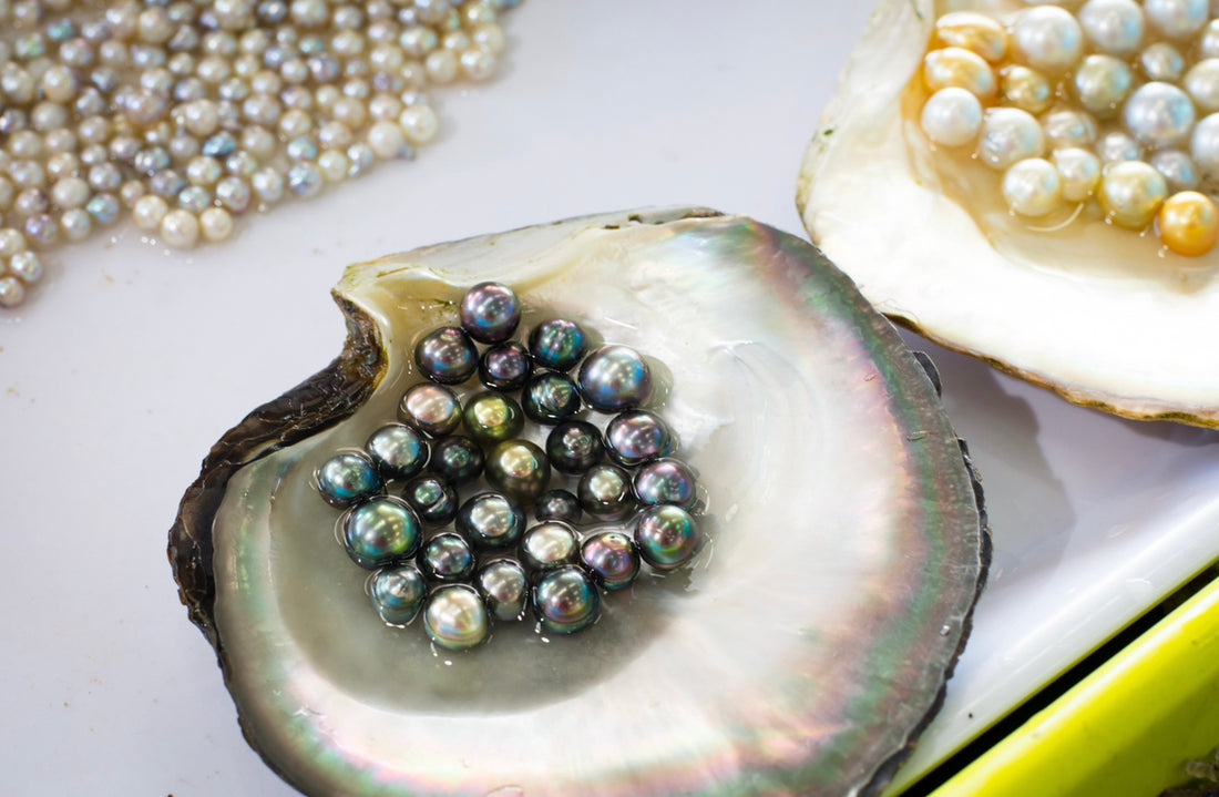Die Schönheit der Perlen: Eine umfassende Übersicht über verschiedene Perlenarten für exquisiten Schmuck